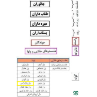 گونه ول پارادوکس Paradox Vole